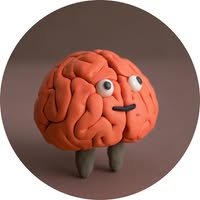Cerebelus Coupons and Promo Code