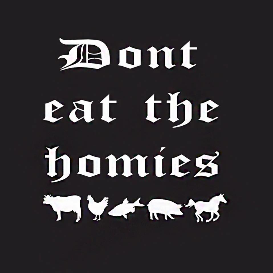 Dont Eat The Homies Coupons and Promo Code