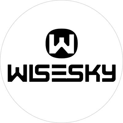 WISESKY Coupons and Promo Code