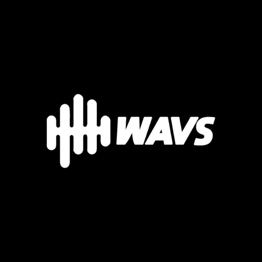WAVS Custom Coupons and Promo Code