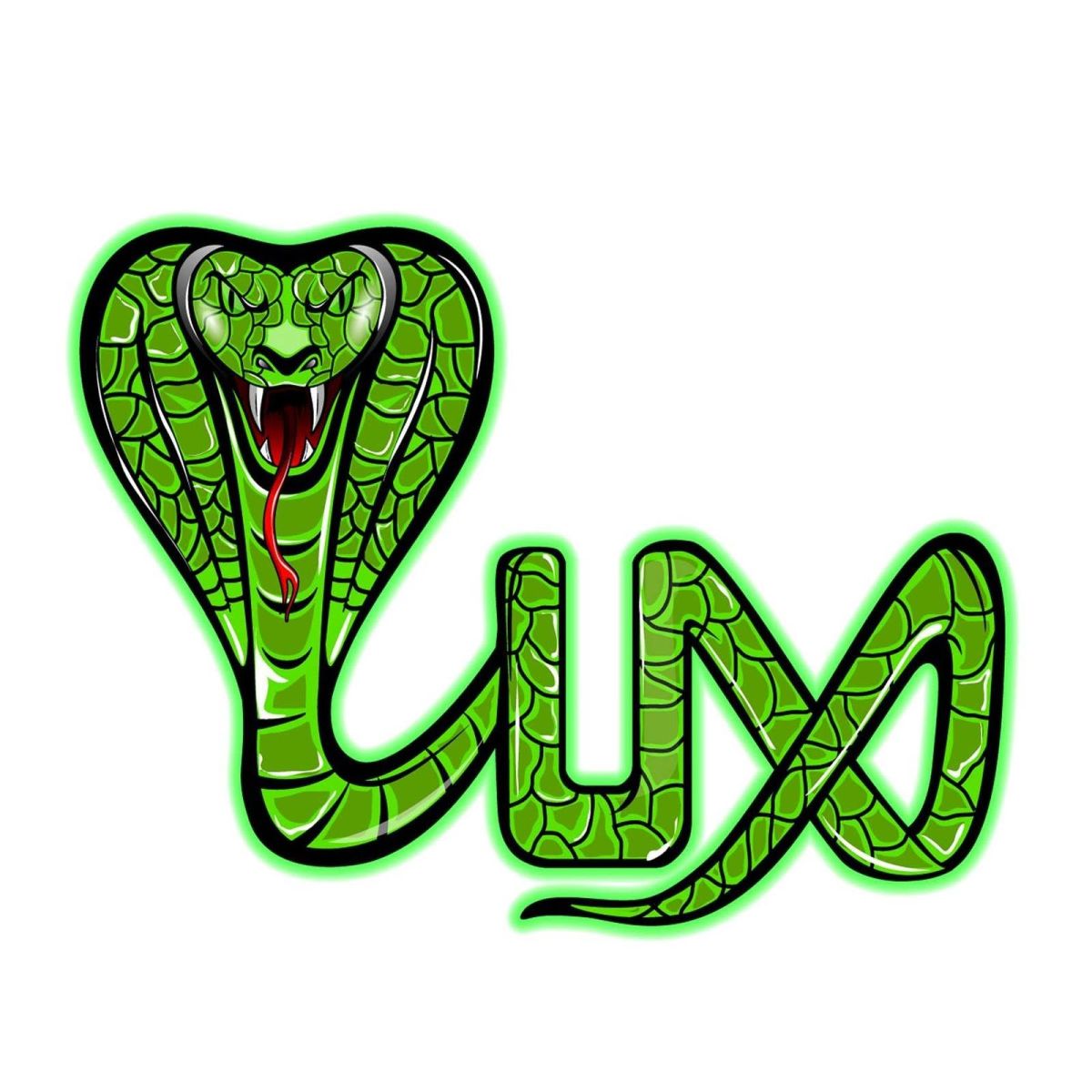LUX Grip Socks Coupons and Promo Code