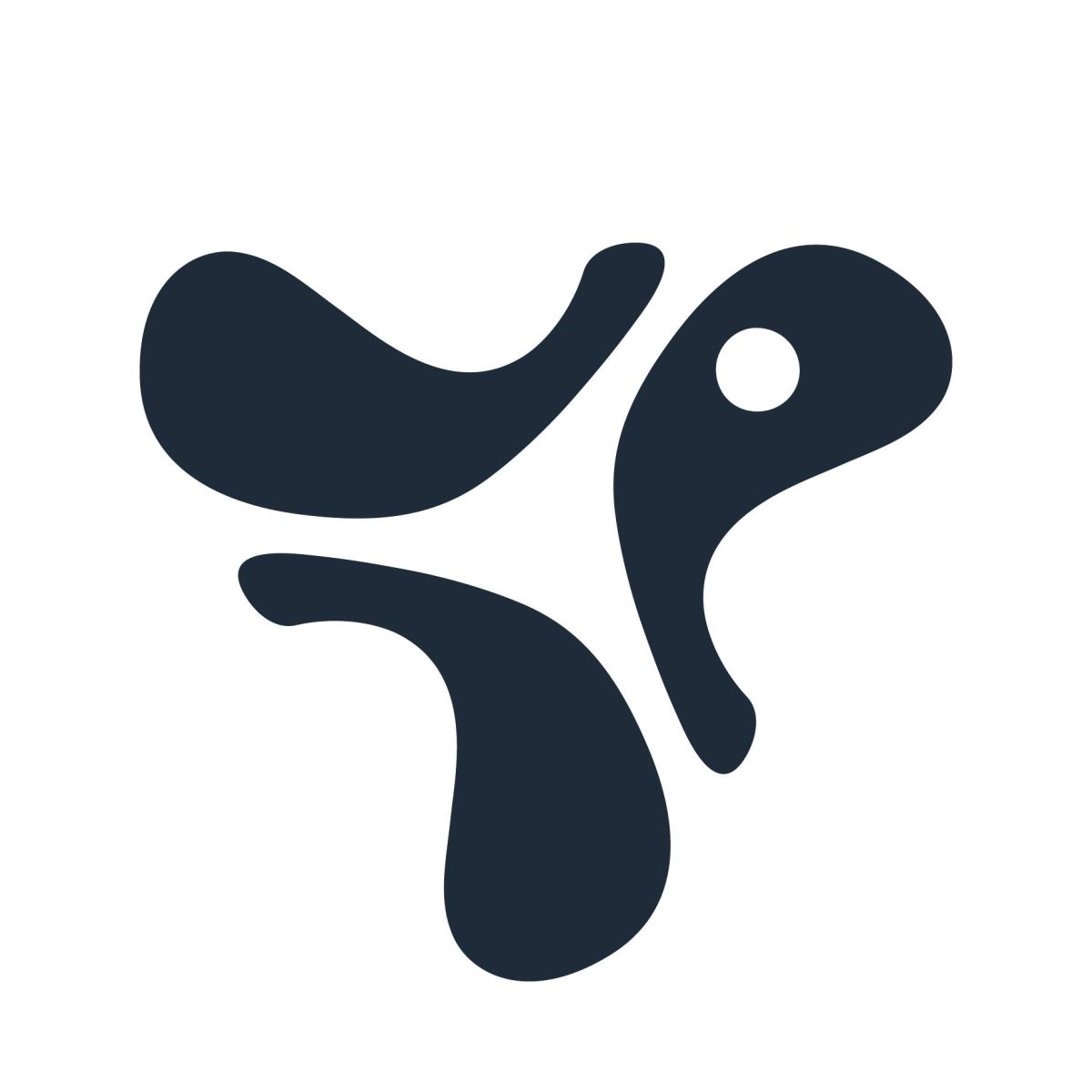DTWOOO Coupons and Promo Code