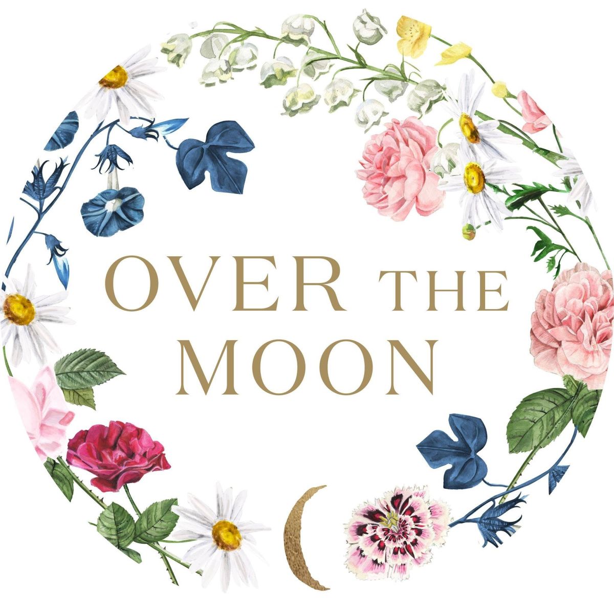 Over The Moon Coupons and Promo Code