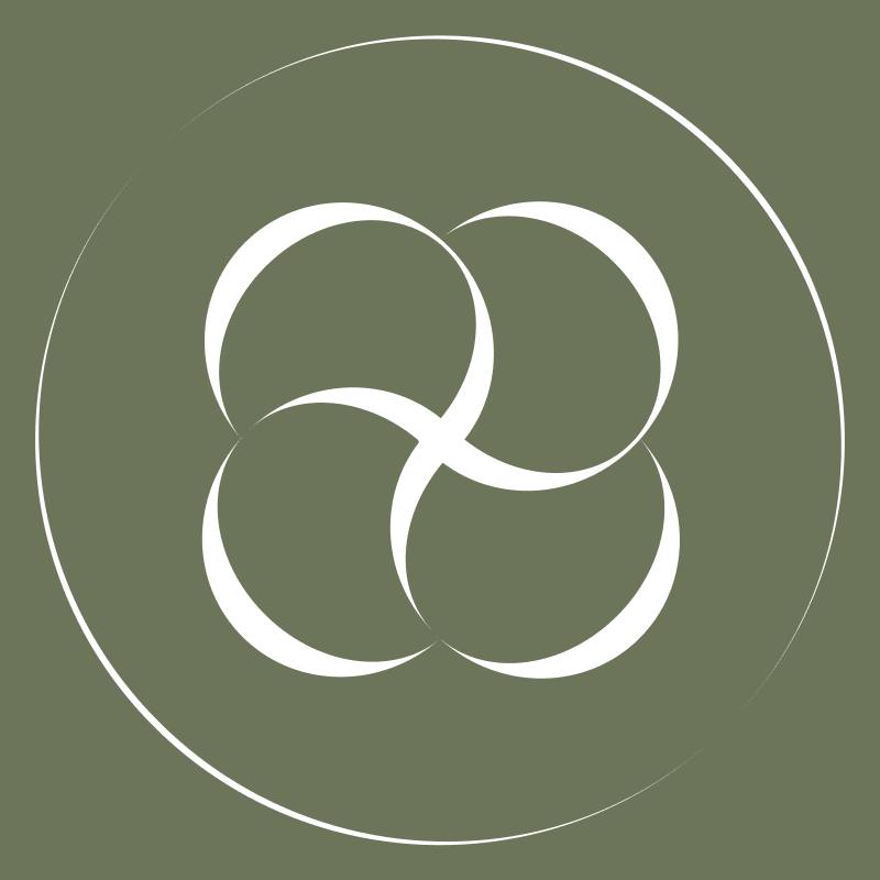 berlook Coupons and Promo Code