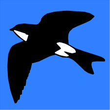 Martinic Coupons and Promo Code